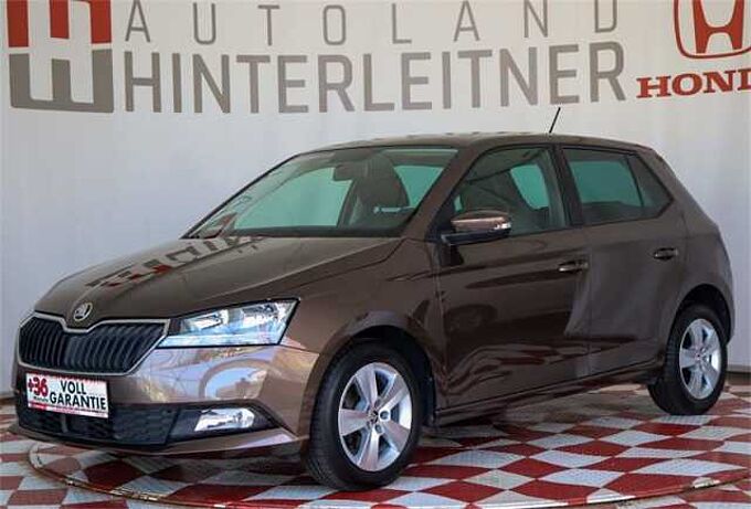 SKODA  Fabia TSI Ambition PDC WINTERPAKET